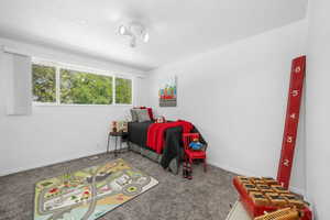 Bedroom with carpet flooring and a textured ceiling