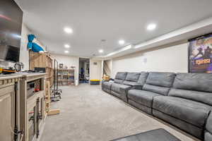 Downstairs family room.