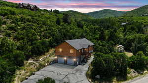 Aerial view at dusk of a forest view