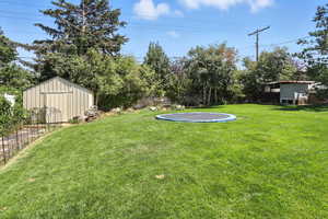 View of yard featuring a trampoline and a storage shed
