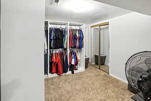 Spacious closet with carpet flooring
