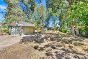 Garage with a trampoline, driveway, and a carport