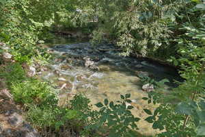 View of tree filled area with a water view