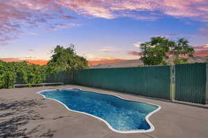 View of swimming pool with a fenced backyard and a patio area