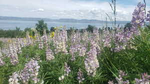 View of mountain background with a nearby body of water
