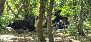 View of undeveloped land