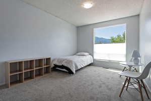 Carpeted bedroom with a textured ceiling and a mountain view