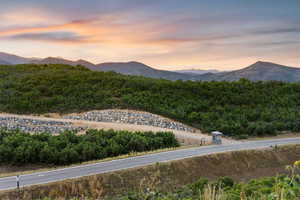 View of mountain backdrop with a forest