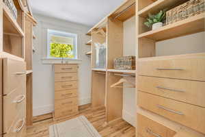 Primary suite spacious closet with light wood-type flooring