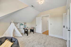 Playroom featuring carpet floors and lofted ceiling
