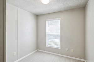 Empty room with light colored carpet, a textured ceiling, and a decorative wall