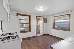 Kitchen with white appliances, dark wood-style floors, plenty of natural light, and electric panel