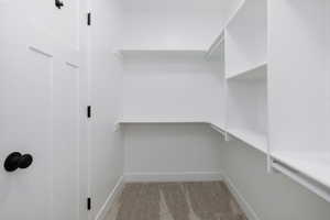 Walk in closet with carpet flooring