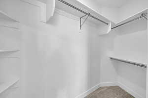 Spacious closet featuring light colored carpet