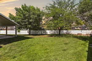 View of yard with a patio