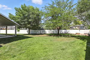 View of yard with a patio