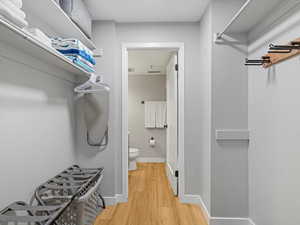 Spacious closet with light wood-style flooring