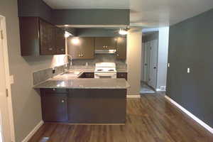 Kitchen with a peninsula, tasteful backsplash, white electric range oven, dark wood-type flooring, and under cabinet range hood