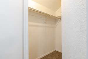 Spacious closet featuring carpet floors