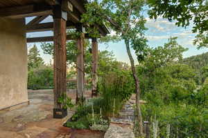 View of yard with a patio area