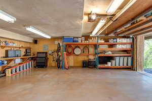 Garage with a workshop area, wooden walls, electric panel, and a garage door opener
