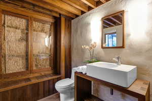 Bathroom featuring toilet and vanity and 'truth window"