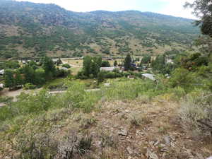 Up the mountain looking back away from property.