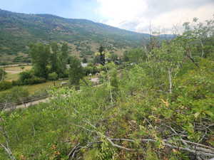 This could be your front yard view looking more towards the South.