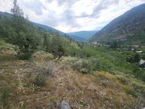 View to the south and higher up.