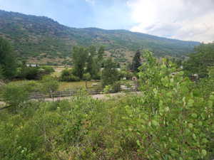 Up the mountain looking back away from property.