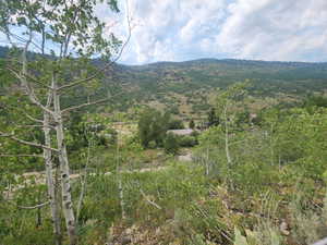 Looking back away from property from near the top