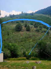 Approximate  boundary  lines of entire lot.