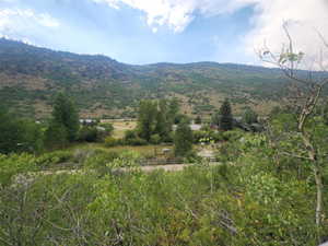 Up the mountain looking back away from property. This could be your front yard view.