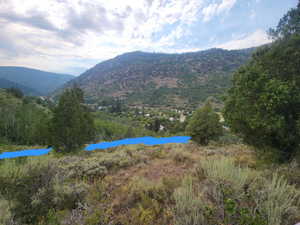 Approximate boundry line on the south from behind the Juniper tree
