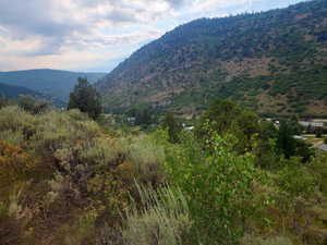 View from the north property line looking in south, there's the Juniper too.