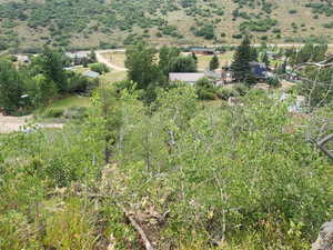 The view from the back of the proeprty. You can see the eneterence to the neighborhood.