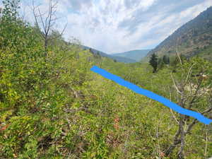 Approximate boundary line on the south.