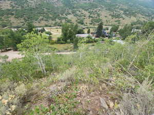 Up the mountain looking back away from property.
