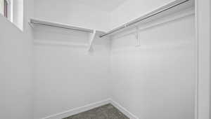 Walk in closet with carpet flooring