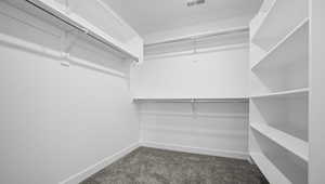 Walk in closet with dark carpet