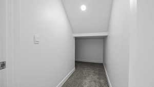 Spacious closet with lofted ceiling and dark carpet