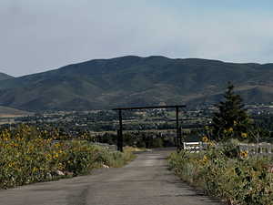 Entrance to easement road from 1950 N. facing South - Utilities are stubbed in here.
