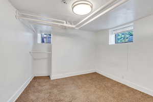 Basement with carpet and healthy amount of natural light