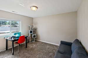 Home office featuring carpet and a textured ceiling