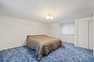 Bedroom featuring multiple closets, carpet flooring, and a textured ceiling