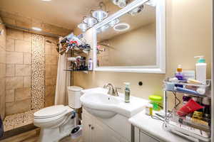 Full bathroom with vanity and tiled shower