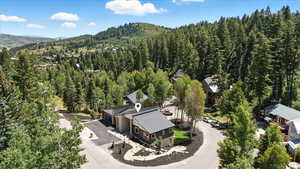 Bird's eye view of a forest and a mountainous background