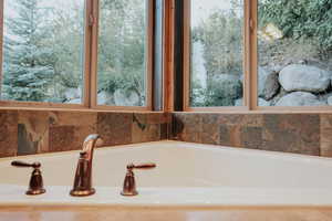 Detailed view of a garden tub