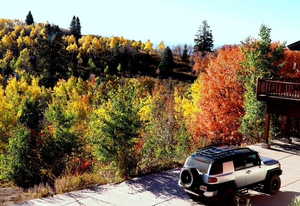 View of parking / parking lot