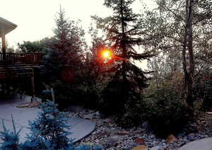 View of yard featuring a wooden deck